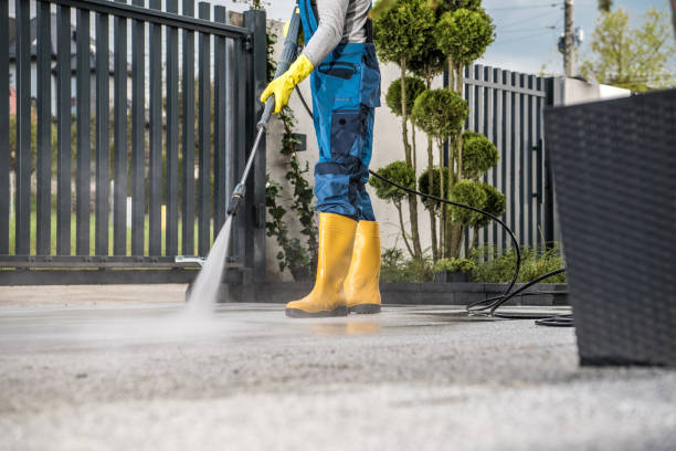 Best Driveway Pressure Washing  in Rosemead, CA